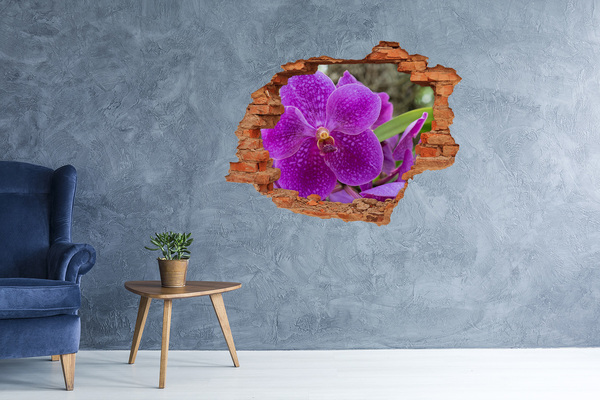 Hole in the wall sticker Orchid flower in a hole in the wall