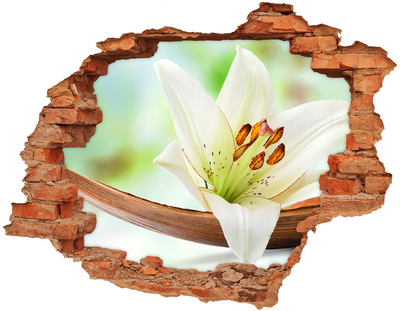 Hole in the wall sticker A floral oasis in concrete
