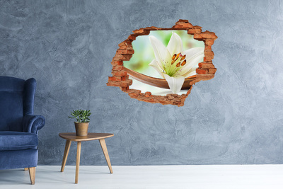 Hole in the wall sticker A floral oasis in concrete