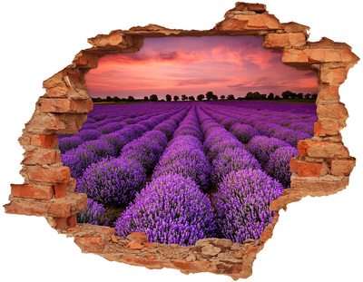 3D wall hole Lavender fields at sunset