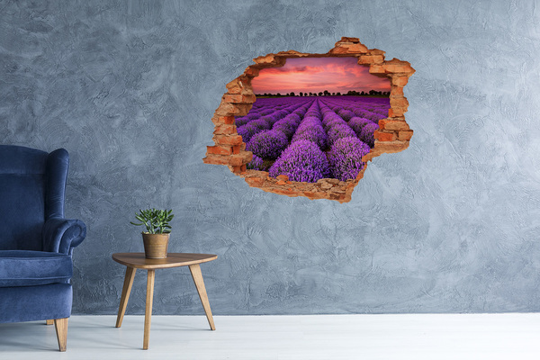 3D wall hole Lavender fields at sunset
