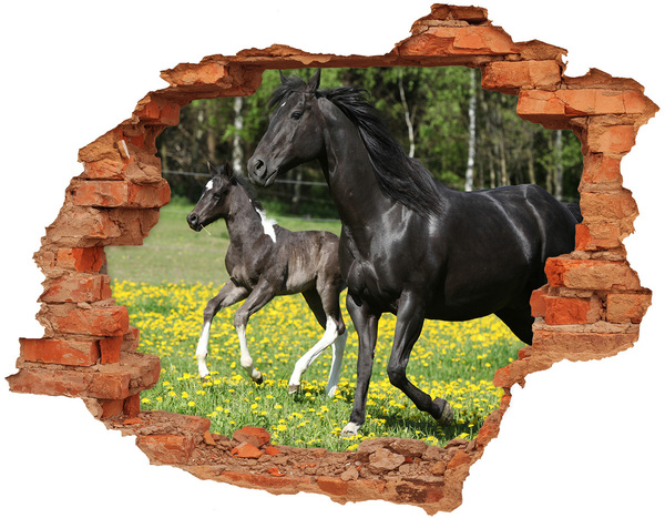 3D wall hole Horses in the meadow