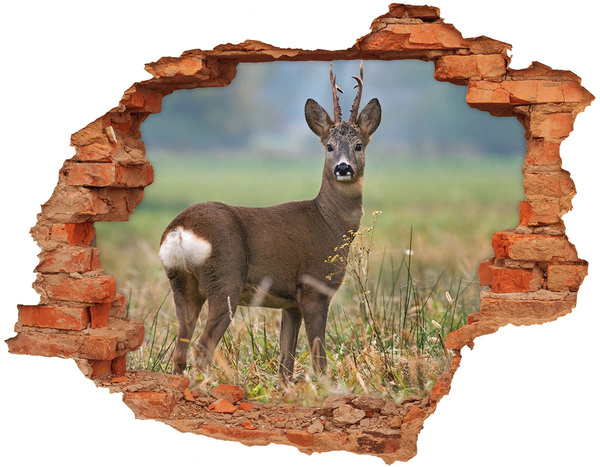 3D wall hole wallpaper Roe deer in its natural habitat