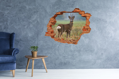3D wall hole wallpaper Roe deer in its natural habitat
