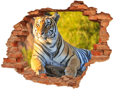 Hole in the wall sticker Portrait of a tiger