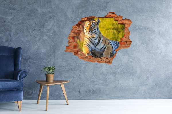 Hole in the wall sticker Portrait of a tiger