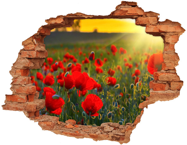 Hole in the wall decal A Hole-in-the-Wall Floral Paradise