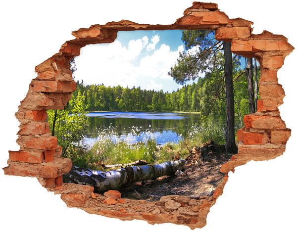 Hole in the wall sticker Green forest by the lake