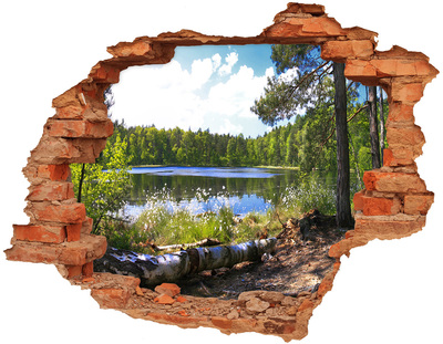 Hole in the wall sticker Forest panorama