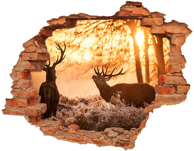 3D wall hole wallpaper Sunrise in the forest