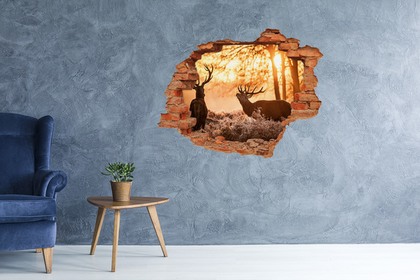 3D wall hole wallpaper Sunrise in the forest