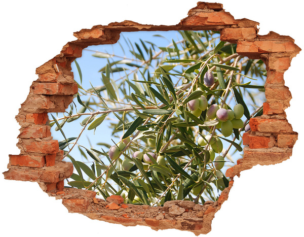 3D wall hole wallpaper Olive tree in the sunlight