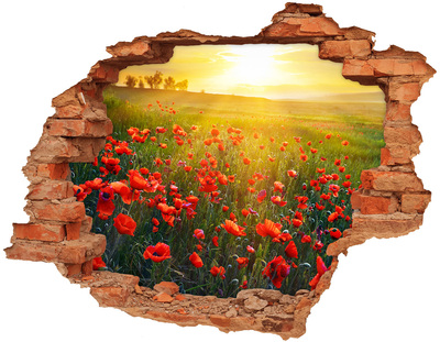 Hole in the wall decal Floral landscape in the meadow