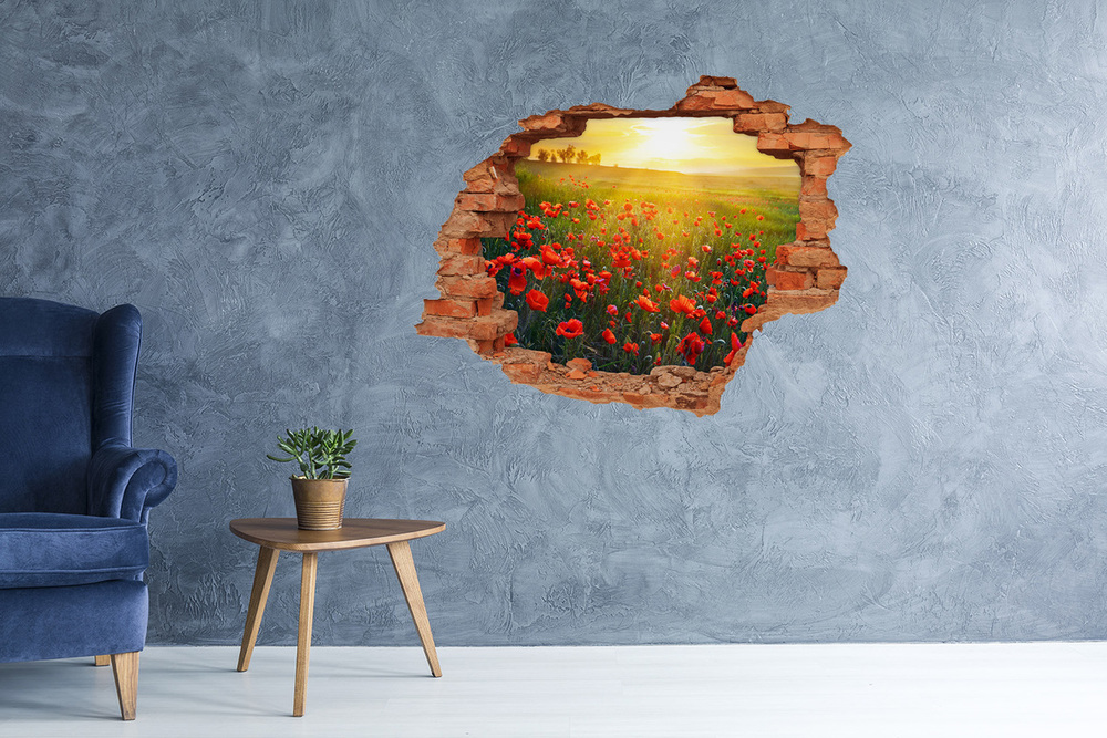 Hole in the wall decal Mak field