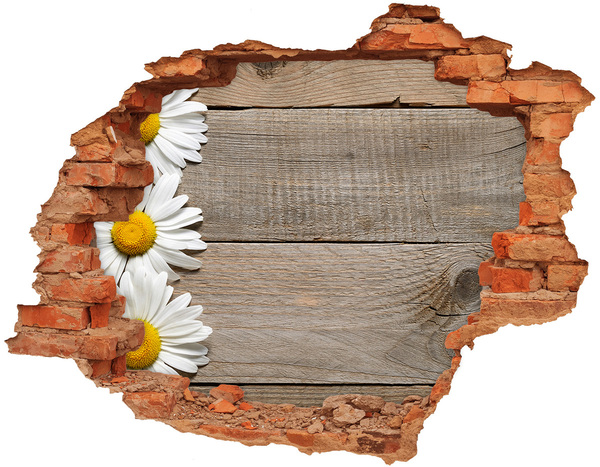 Hole in the wall decal A damaged wall with a wooden background