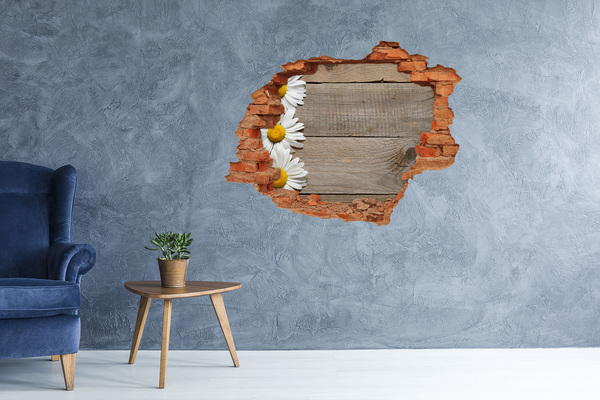 Hole in the wall decal Daisy wood