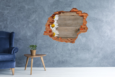 Hole in the wall decal A damaged wall with a wooden background
