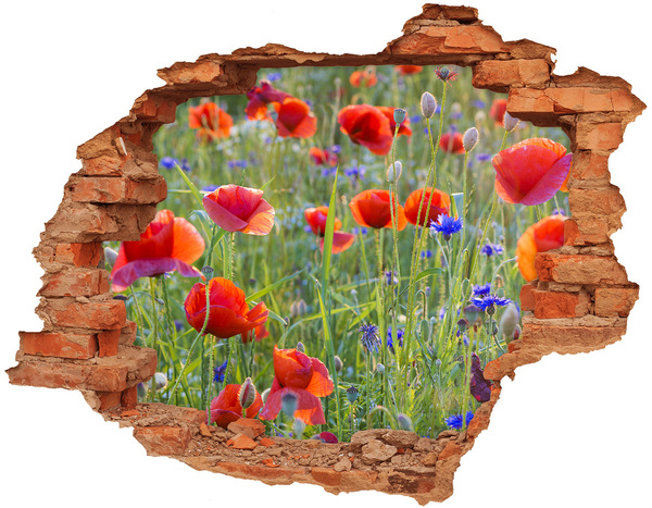 Hole wall sticker Field flowers