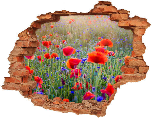 Hole in the wall decal Field flowers