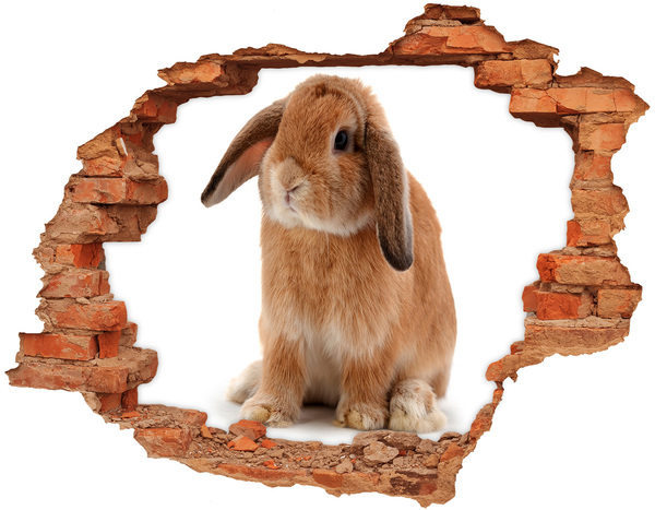 Hole in the wall sticker Rabbit ore