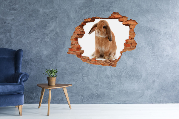 Hole in the wall sticker Rabbit ore