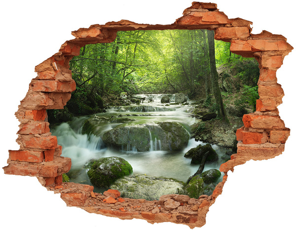 Hole wall sticker Green valley with a waterfall