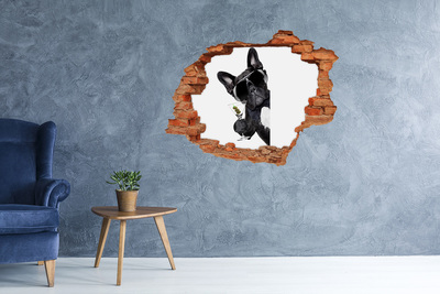 3D wall hole Stylish dog with a drink