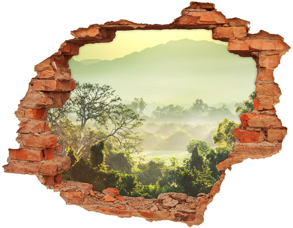 3D wall hole Green valley into the fog