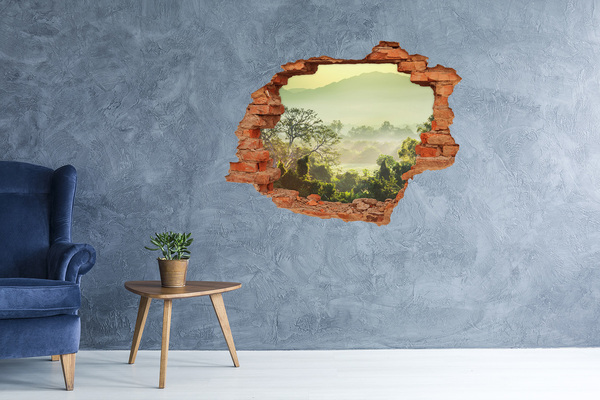 3D wall hole Green valley into the fog