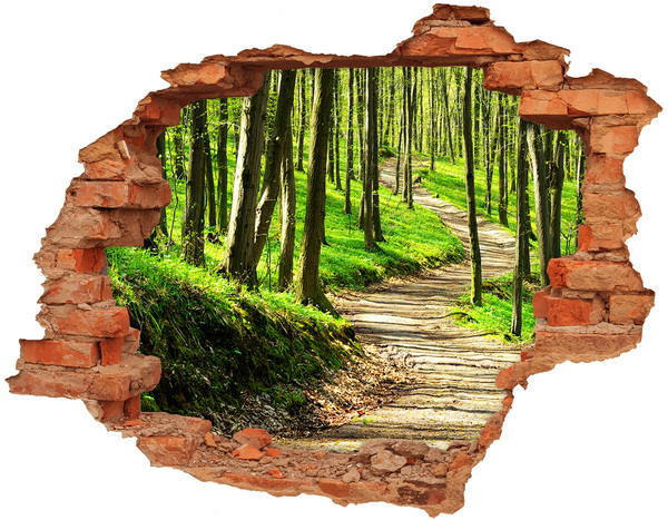 3D wall hole Forest path in the sunshine