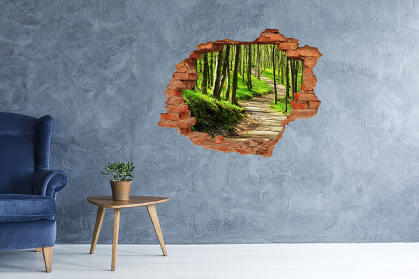3D wall hole Forest path in the sunshine