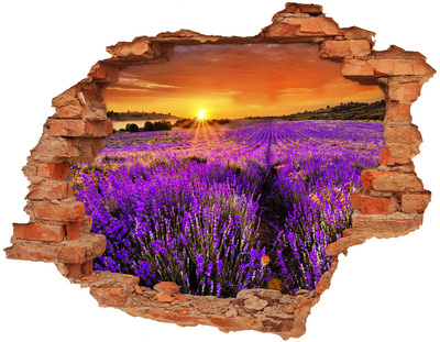 Hole wall sticker Lavender field at sunset