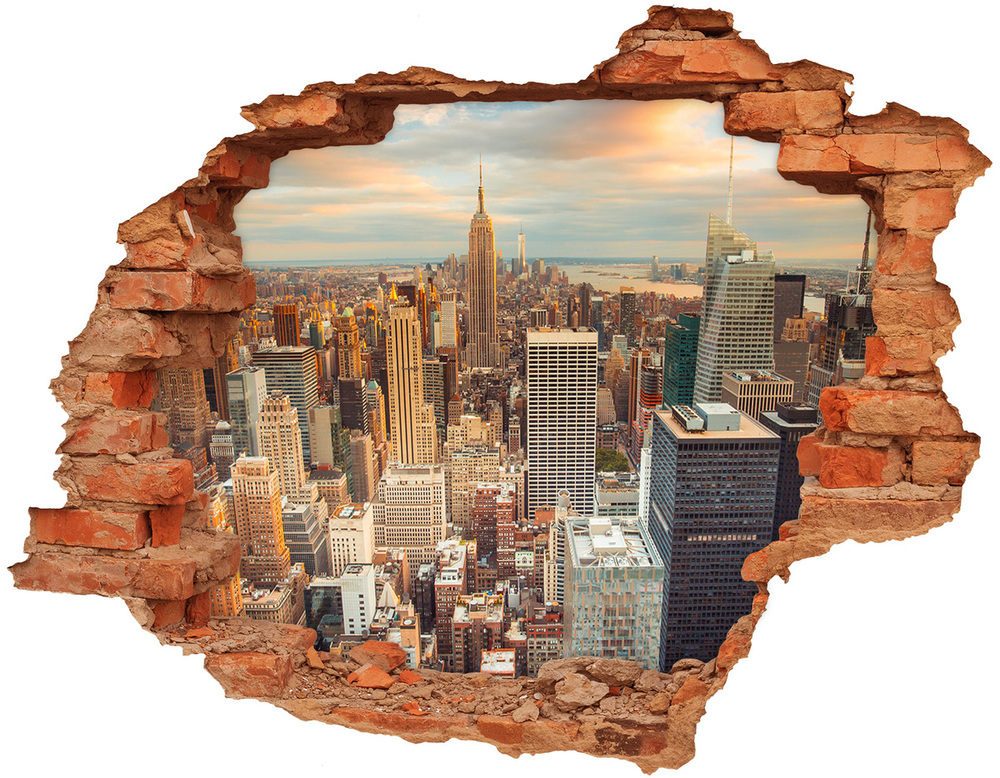 Hole wall sticker New York Bird Lot