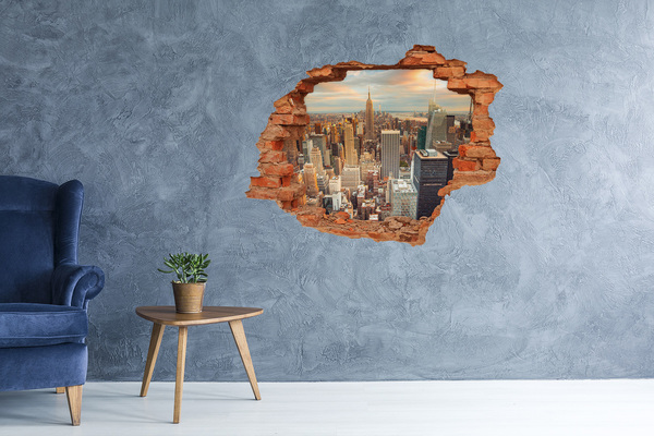 Hole wall sticker View of New York