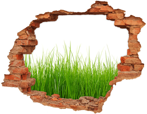 3D wall hole wallpaper A green meadow behind the wall