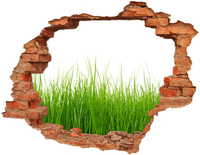 3D wall hole wallpaper A green meadow behind the wall