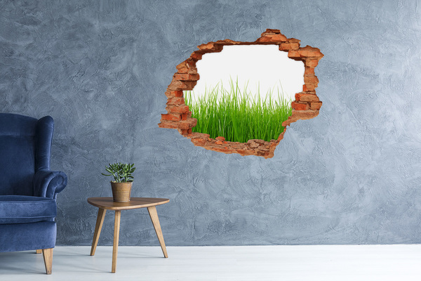 3D wall hole wallpaper A green meadow behind the wall