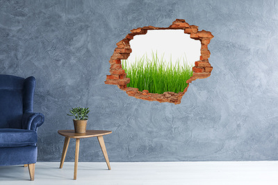 3D wall hole wallpaper A green meadow behind the wall
