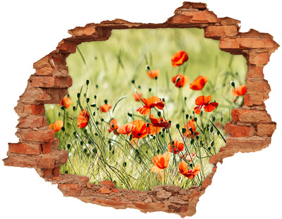 3D wall hole wallpaper A floral paradise among the poppies