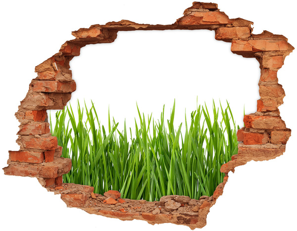 Hole in the wall decal Green meadow behind the wall