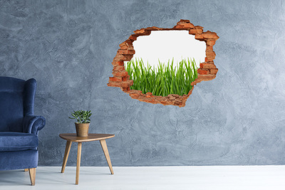 Hole in the wall decal Green meadow behind the wall