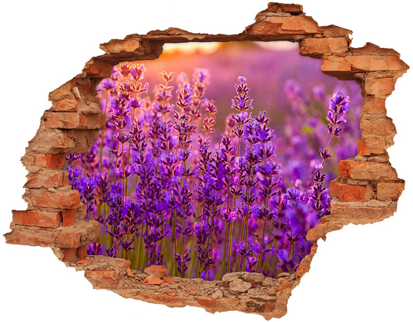 Hole in the wall sticker Lavender flower meadow