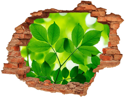 Hole in the wall decal Green leaves