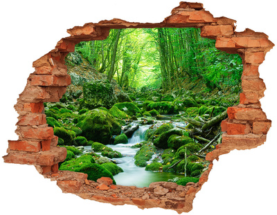 Hole in the wall decal Green stream in the forest