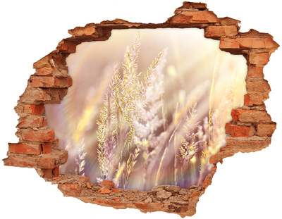 Hole in the wall sticker Flower meadow behind the wall