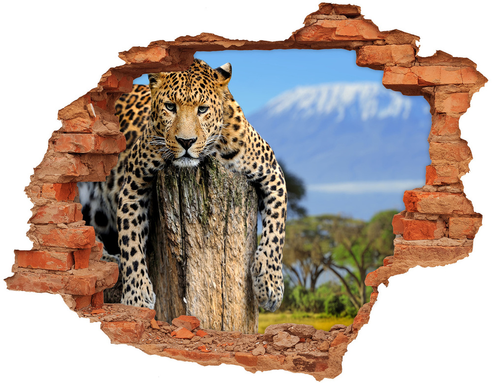 Hole in the wall sticker Leopard on the trunk