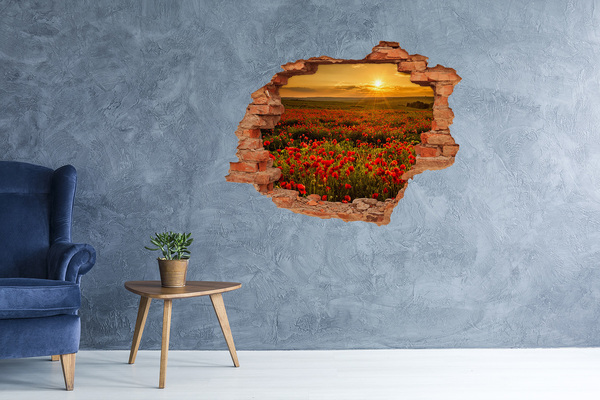 Hole in the wall decal Mak field