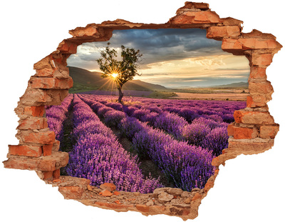 Hole in the wall decal Lavender fields at sunset