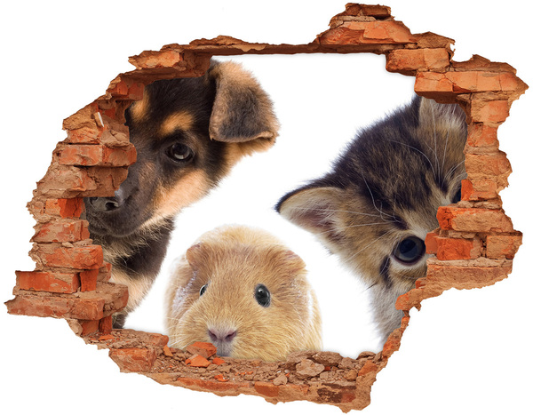 3D wall hole Pets