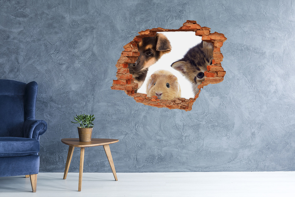 3D wall hole Pets